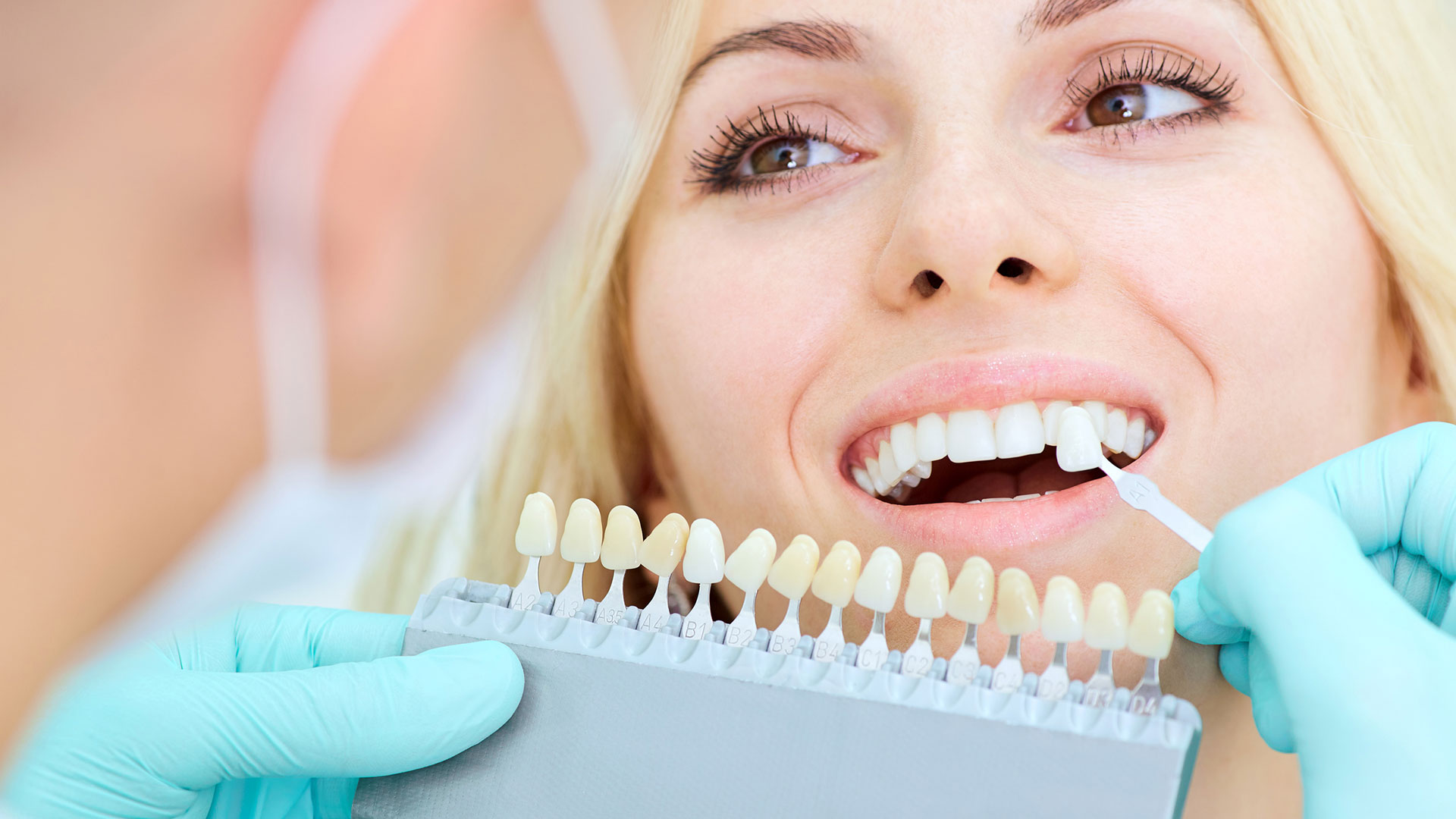 Dentalhandel Albert Plachel